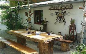 Casa Costea
